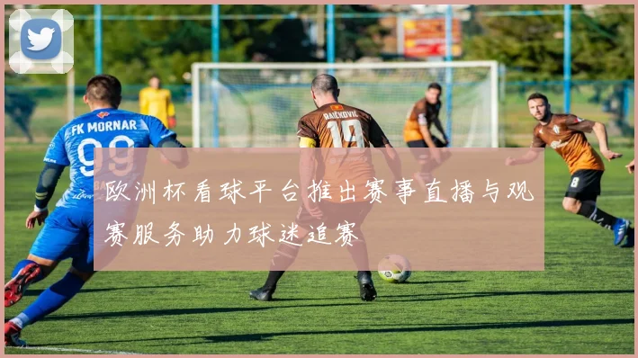 欧洲杯看球平台推出赛事直播与观赛服务助力球迷追赛