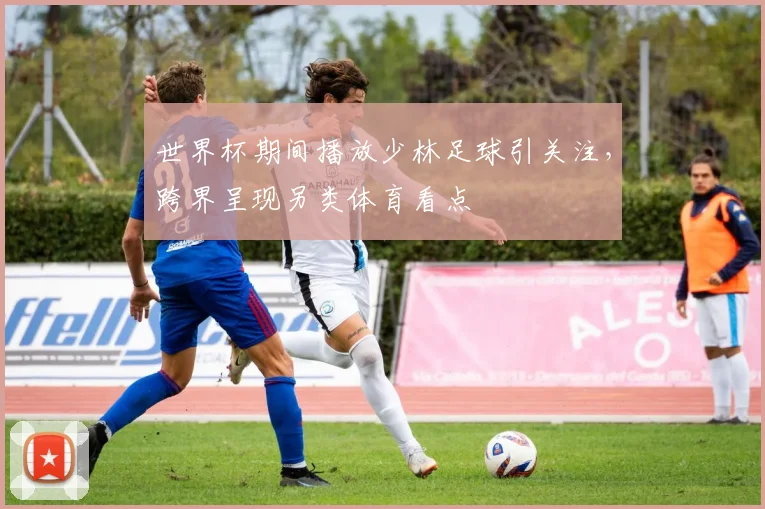 世界杯期间播放少林足球引关注,跨界呈现另类体育看点